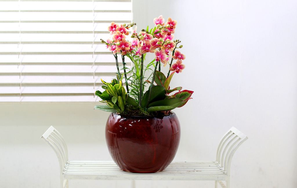 [Office & Nature] ݳ () (ȭǰ)  ɹ