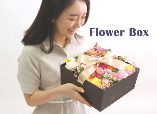 HappyȭƮ _ ĺöڽ  ɹ