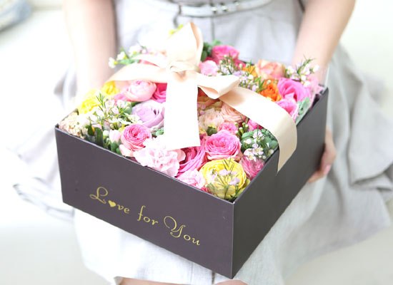 HappyȭƮ _ ĺöڽ  ɹ