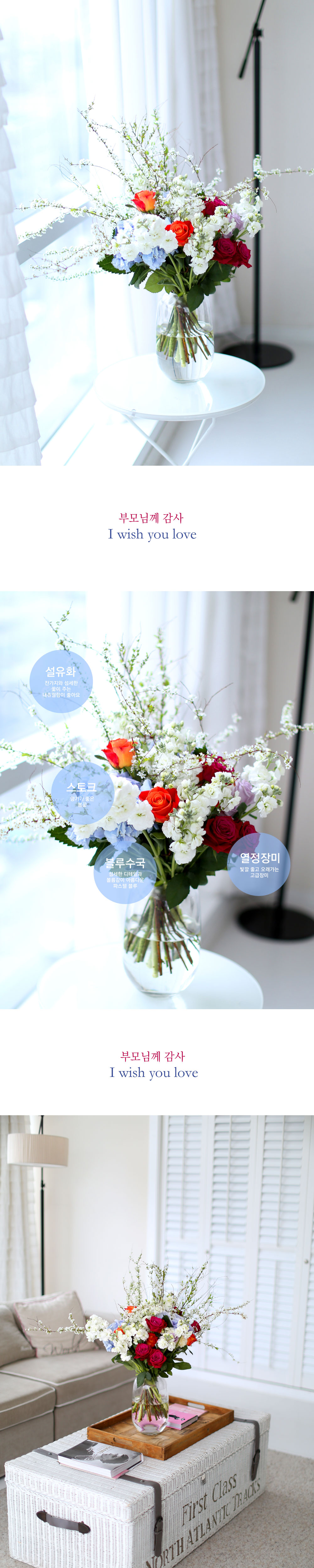 [/ Ϻ]I wish you love(ȭ ǰ   )