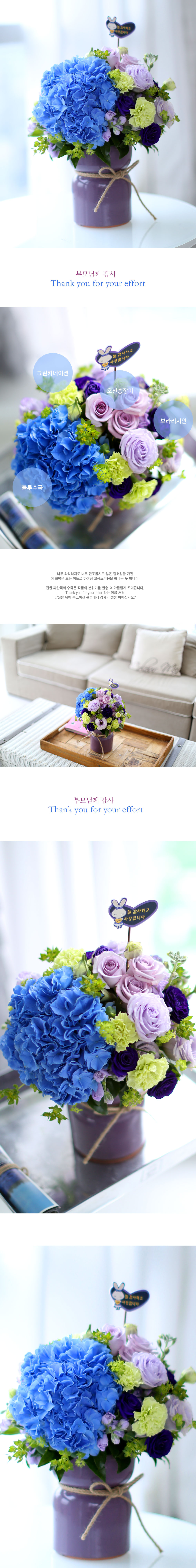 մϴ - Thank you for your effort  ɹ