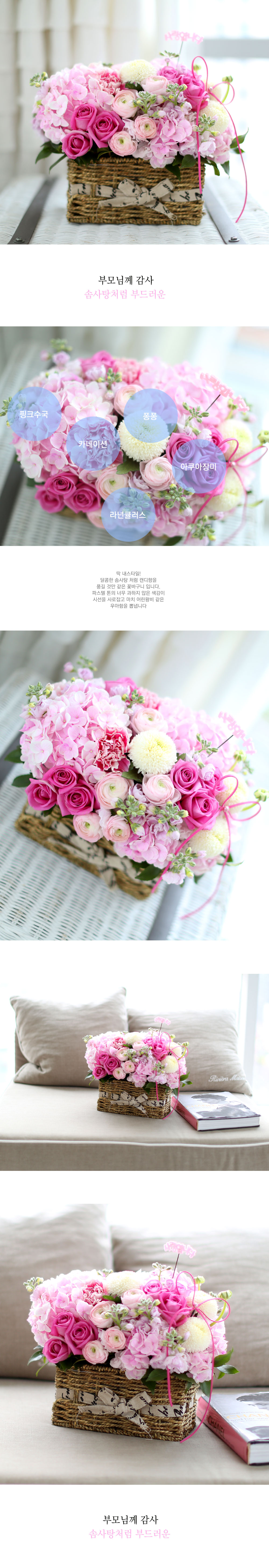 մϴ - ػó ε巯 (ٱϺ)  ɹ