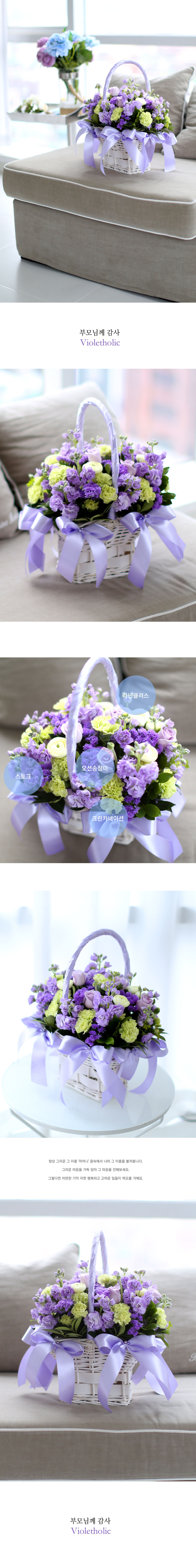 մϴ - Violet Holic  ɹ