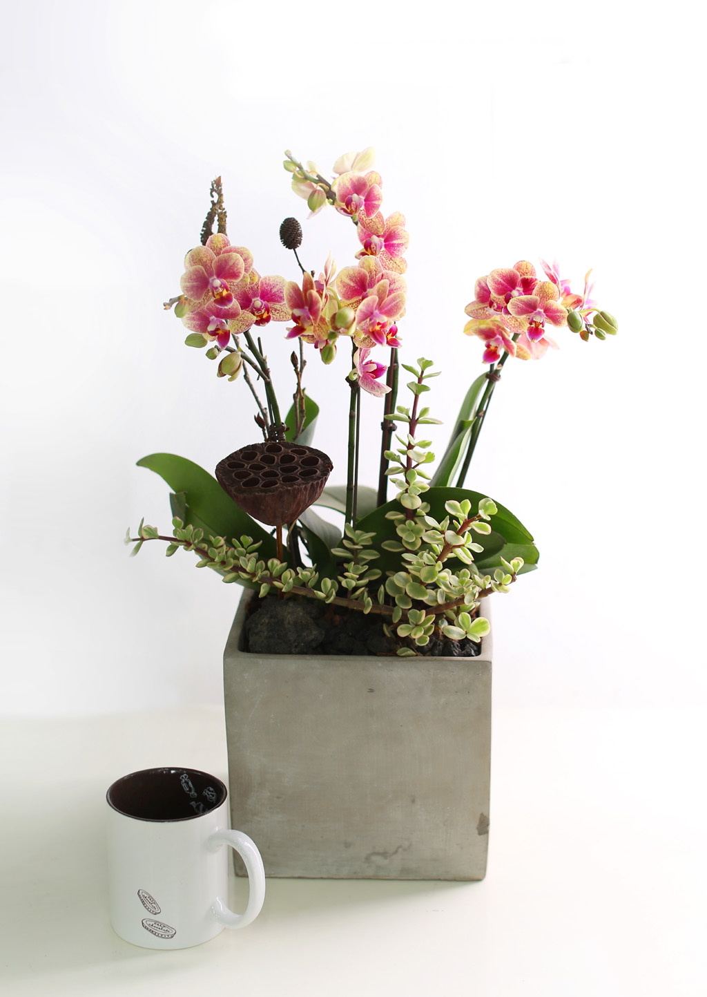 [޽ Ǵ Ȱ] ݳ ()  ɹ