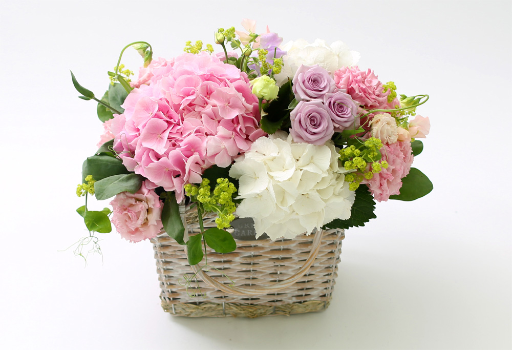 ÇÁ½¬ÄÉ ¾î´À³¯ - Simple and Natural ²ÉÁý ²É¹è´Þ