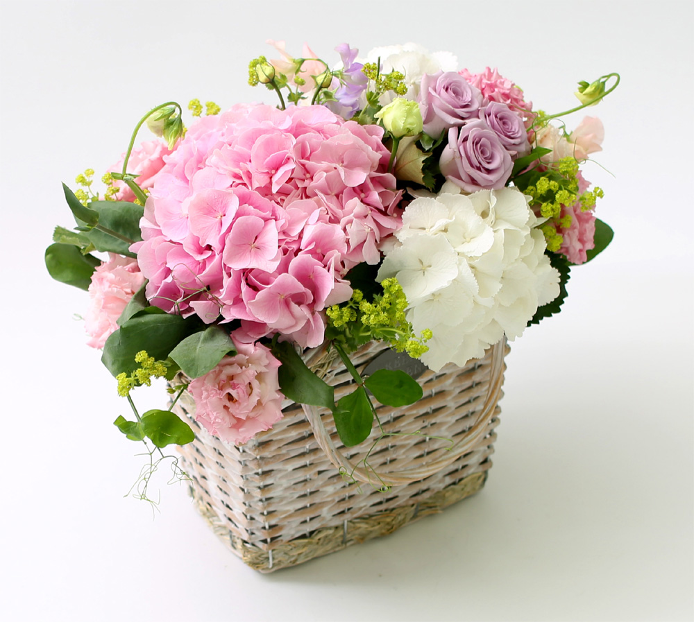 ÇÁ½¬ÄÉ ¾î´À³¯ - Simple and Natural ²ÉÁý ²É¹è´Þ