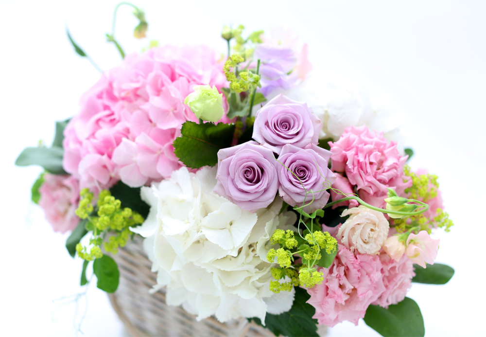 ÇÁ½¬ÄÉ ¾î´À³¯ - Simple and Natural ²ÉÁý ²É¹è´Þ