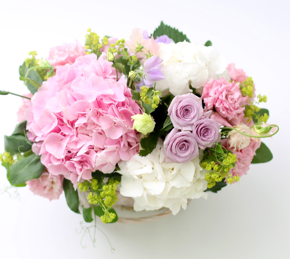 ÇÁ½¬ÄÉ ¾î´À³¯ - Simple and Natural ²ÉÁý ²É¹è´Þ