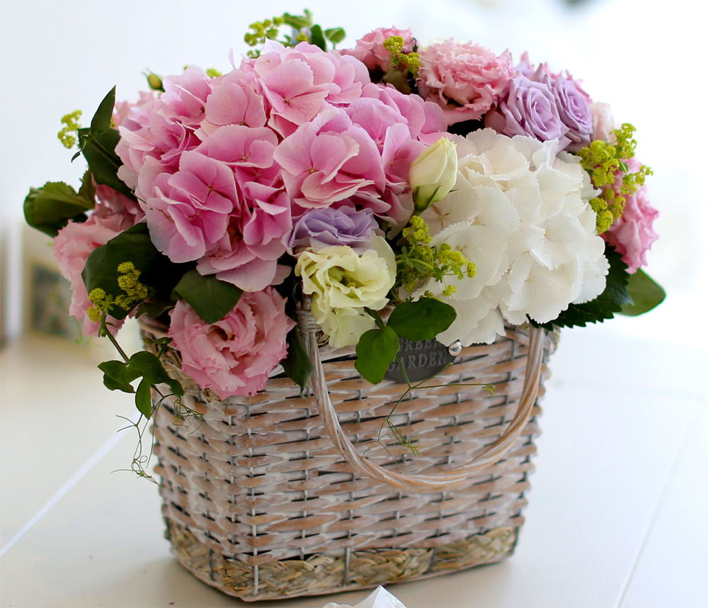 ÇÁ½¬ÄÉ ¾î´À³¯ - Simple and Natural ²ÉÁý ²É¹è´Þ