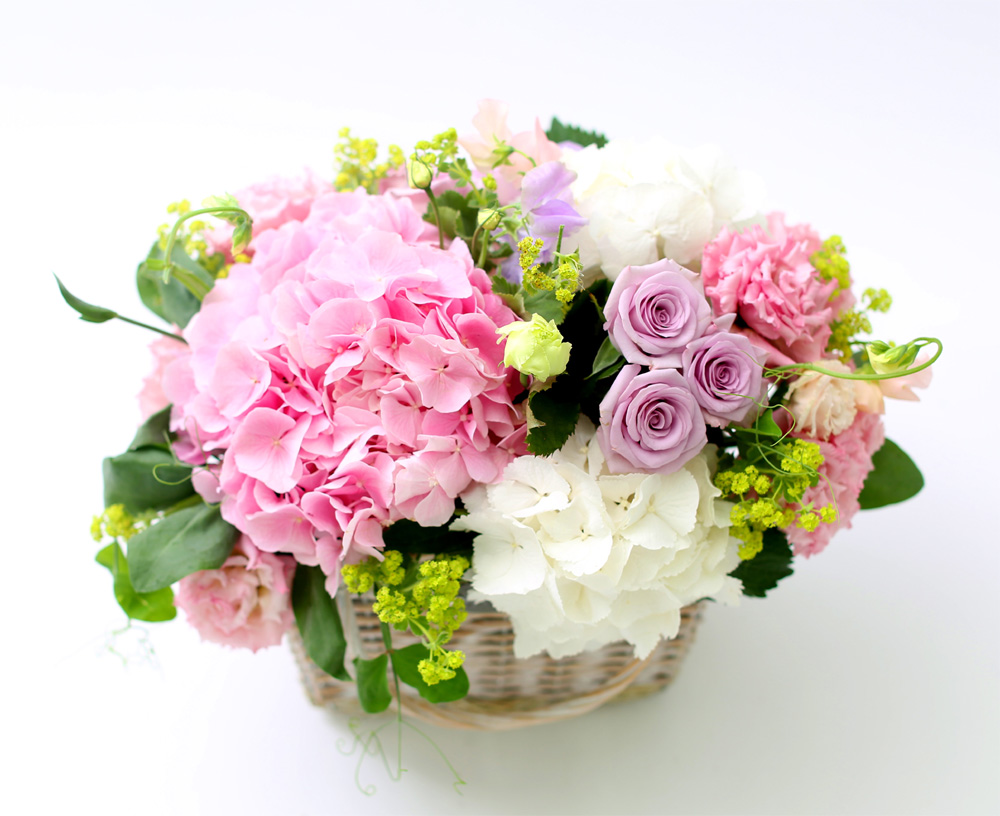 ÇÁ½¬ÄÉ ¾î´À³¯ - Simple and Natural ²ÉÁý ²É¹è´Þ