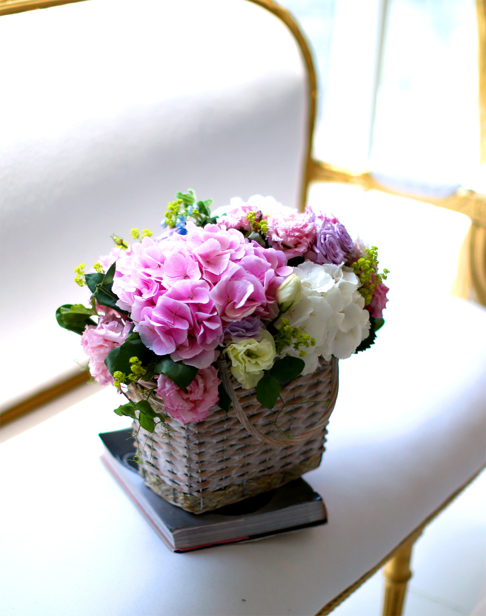 ÇÁ½¬ÄÉ ¾î´À³¯ - Simple and Natural ²ÉÁý ²É¹è´Þ