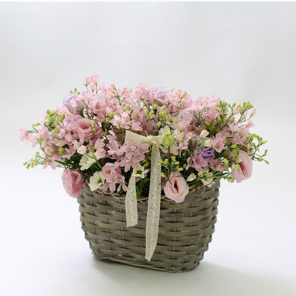   - Vintage pink(  Ǵ  Ȱ ü)  ɹ