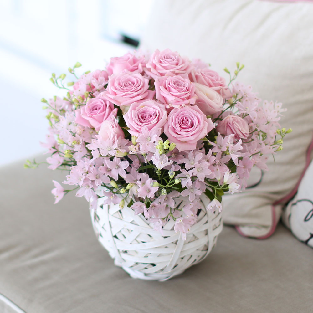 ÇÁ½¬ÄÉ ¾î´À³¯-Angel pink-µ¨ÇÇ´½È¤Àº ¾È°³²ÉÀ¸·Î ÁøÇà / ¹Ù±¸´Ï ǰÀý·Î·Î ´Ù¸¥ ¹Ù±¸´Ï·Î ´ëüµË´Ï´Ù
