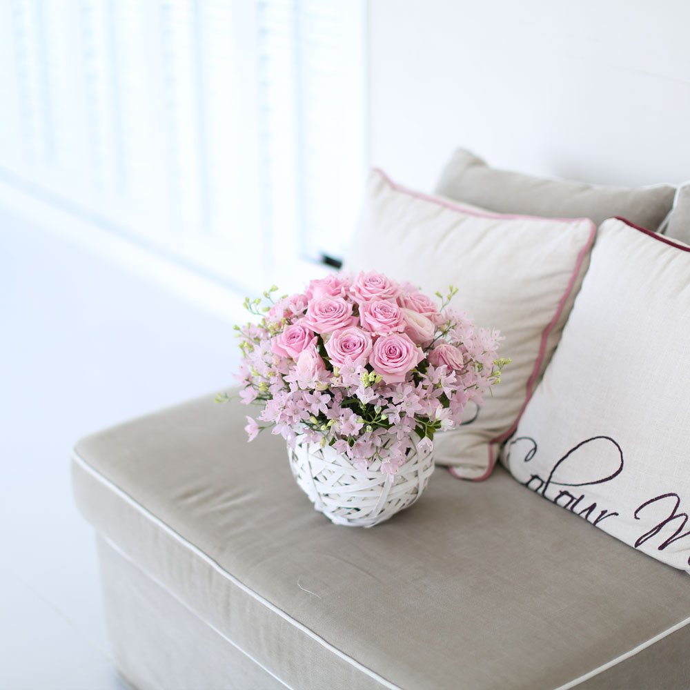 ÇÁ½¬ÄÉ ¾î´À³¯-Angel pink-µ¨ÇÇ´½È¤Àº ¾È°³²ÉÀ¸·Î ÁøÇà / ¹Ù±¸´Ï ǰÀý·Î·Î ´Ù¸¥ ¹Ù±¸´Ï·Î ´ëüµË´Ï´Ù
