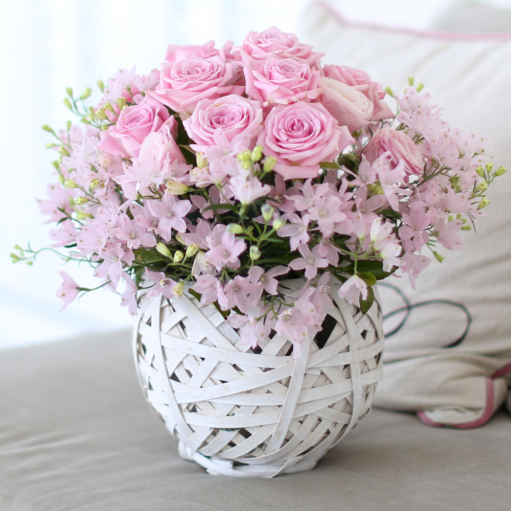 ÇÁ½¬ÄÉ ¾î´À³¯-Angel pink-µ¨ÇÇ´½È¤Àº ¾È°³²ÉÀ¸·Î ÁøÇà / ¹Ù±¸´Ï ǰÀý·Î·Î ´Ù¸¥ ¹Ù±¸´Ï·Î ´ëüµË´Ï´Ù