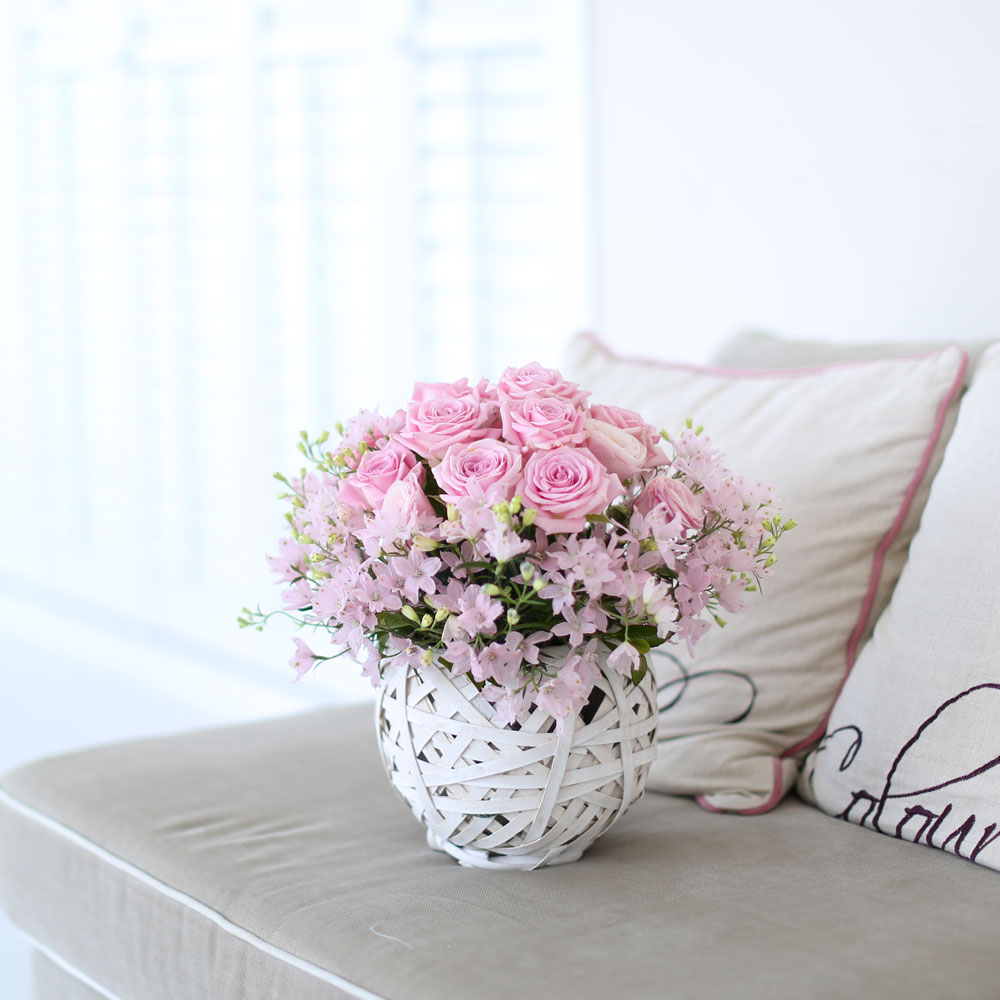 ÇÁ½¬ÄÉ ¾î´À³¯-Angel pink-µ¨ÇÇ´½È¤Àº ¾È°³²ÉÀ¸·Î ÁøÇà / ¹Ù±¸´Ï ǰÀý·Î·Î ´Ù¸¥ ¹Ù±¸´Ï·Î ´ëüµË´Ï´Ù