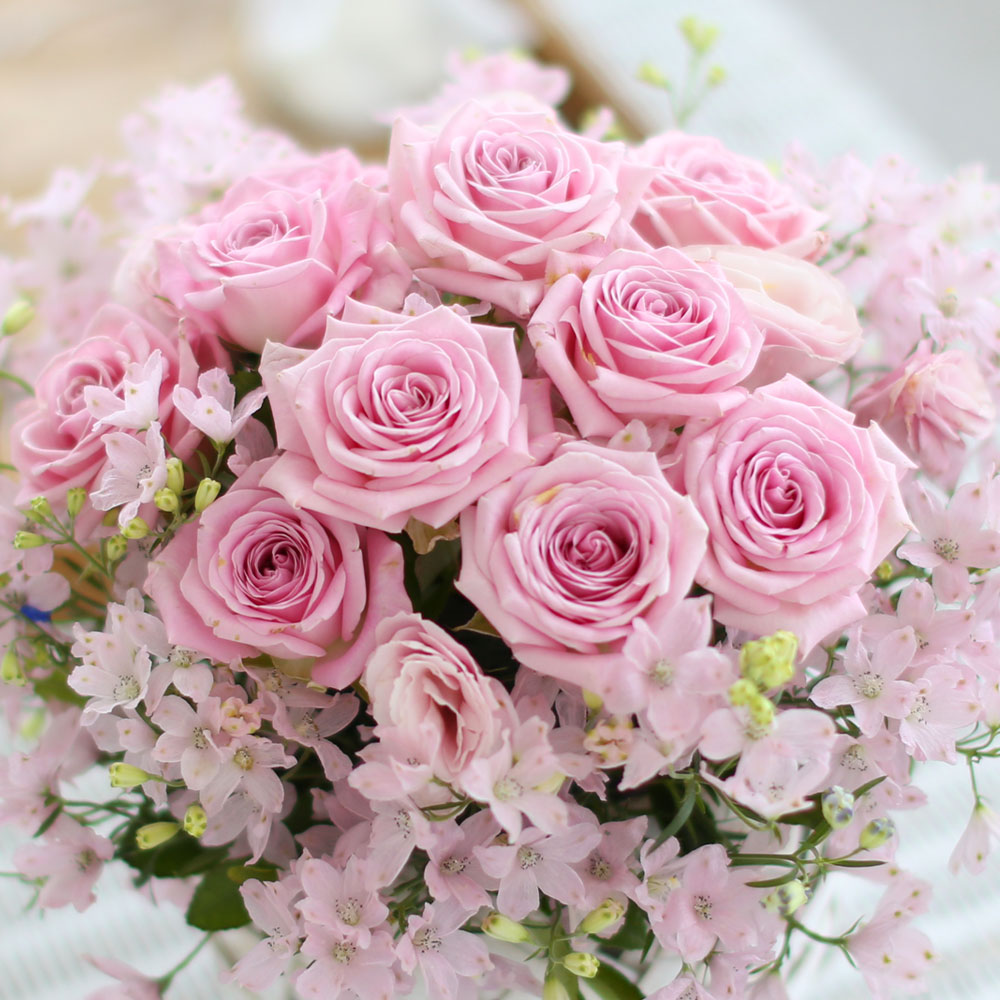 ÇÁ½¬ÄÉ ¾î´À³¯-Angel pink-µ¨ÇÇ´½È¤Àº ¾È°³²ÉÀ¸·Î ÁøÇà / ¹Ù±¸´Ï ǰÀý·Î·Î ´Ù¸¥ ¹Ù±¸´Ï·Î ´ëüµË´Ï´Ù