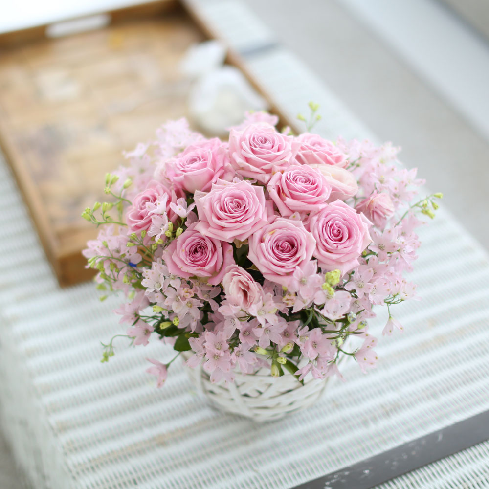 ÇÁ½¬ÄÉ ¾î´À³¯-Angel pink-µ¨ÇÇ´½È¤Àº ¾È°³²ÉÀ¸·Î ÁøÇà / ¹Ù±¸´Ï ǰÀý·Î·Î ´Ù¸¥ ¹Ù±¸´Ï·Î ´ëüµË´Ï´Ù