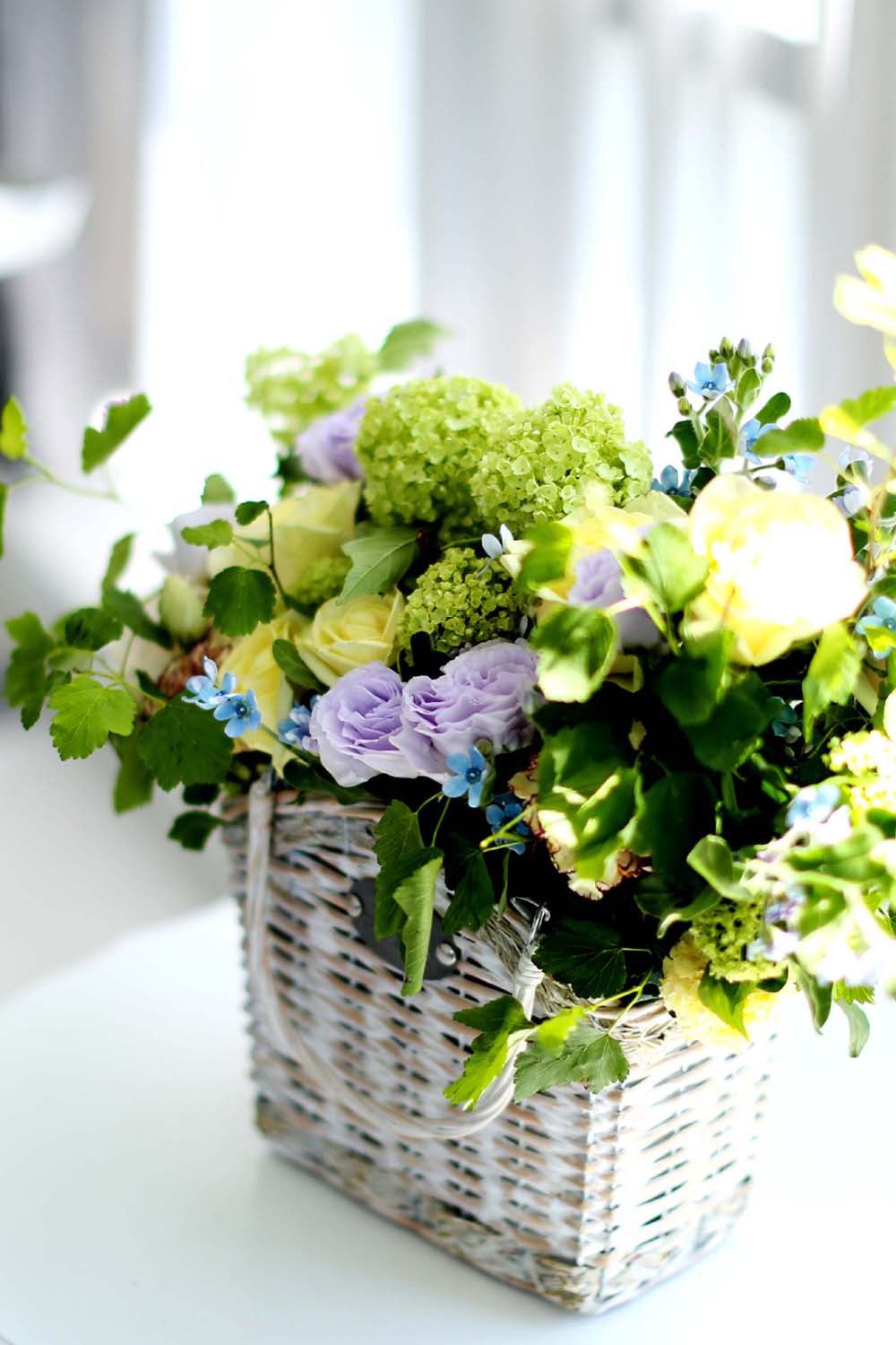 ´«ºÎ½Ãµµ·Ï ¸ÚÁö°í ¾Æ¸§´Ù¿î Àο¬ - »ì¶û »ì¶û Çâ±â·Î¿î ²ÉÁý ²É¹è´Þ