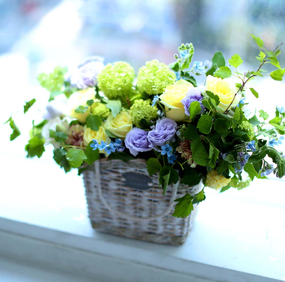 ´«ºÎ½Ãµµ·Ï ¸ÚÁö°í ¾Æ¸§´Ù¿î Àο¬ - »ì¶û »ì¶û Çâ±â·Î¿î ²ÉÁý ²É¹è´Þ