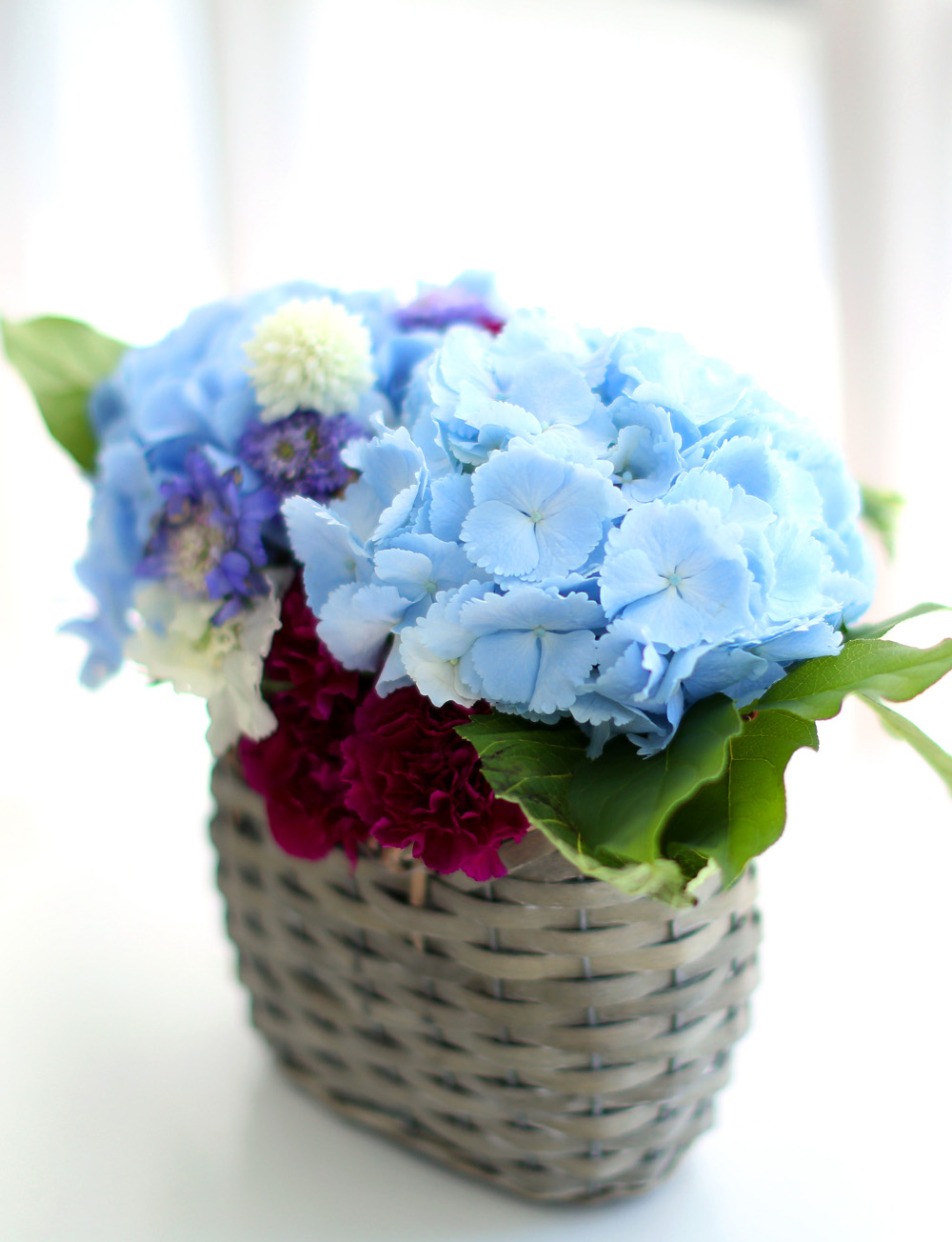 νõ  Ƹٿ ο - Blue Blue  ɹ