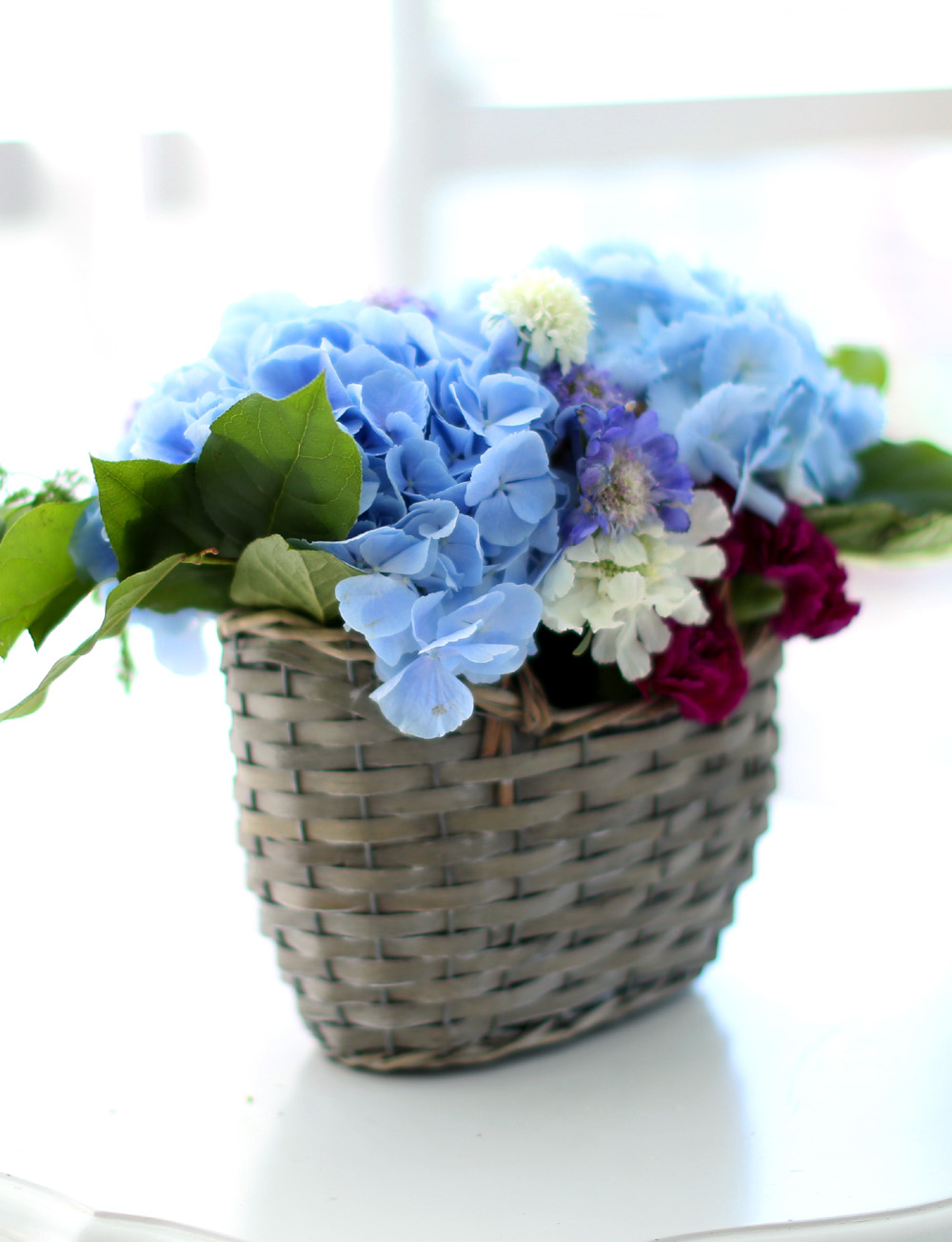 νõ  Ƹٿ ο - Blue Blue  ɹ