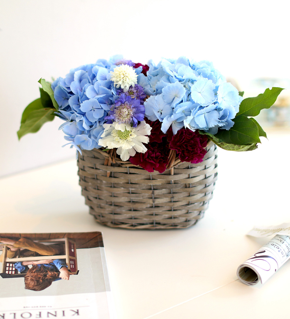 νõ  Ƹٿ ο - Blue Blue  ɹ