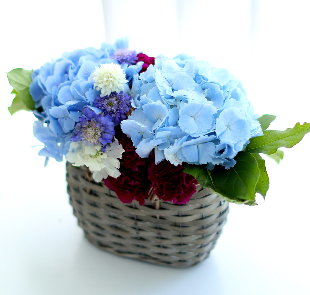 νõ  Ƹٿ ο - Blue Blue  ɹ