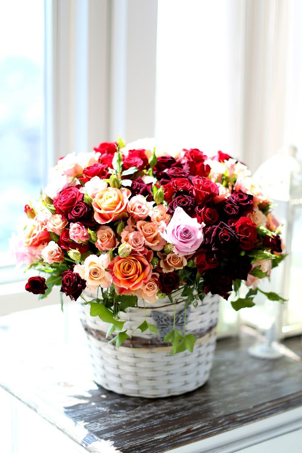 ´«ºÎ½Ãµµ·Ï ¸ÚÁö°í ¾Æ¸§´Ù¿î Àο¬ - Mighty Lak` A Rose (¹Ù±¸´Ï ǰÀý·Î·Î ´Ù¸¥ ¹Ù±¸´Ï·Î ´ëüµË´Ï´Ù) ²ÉÁý ²É¹è´Þ