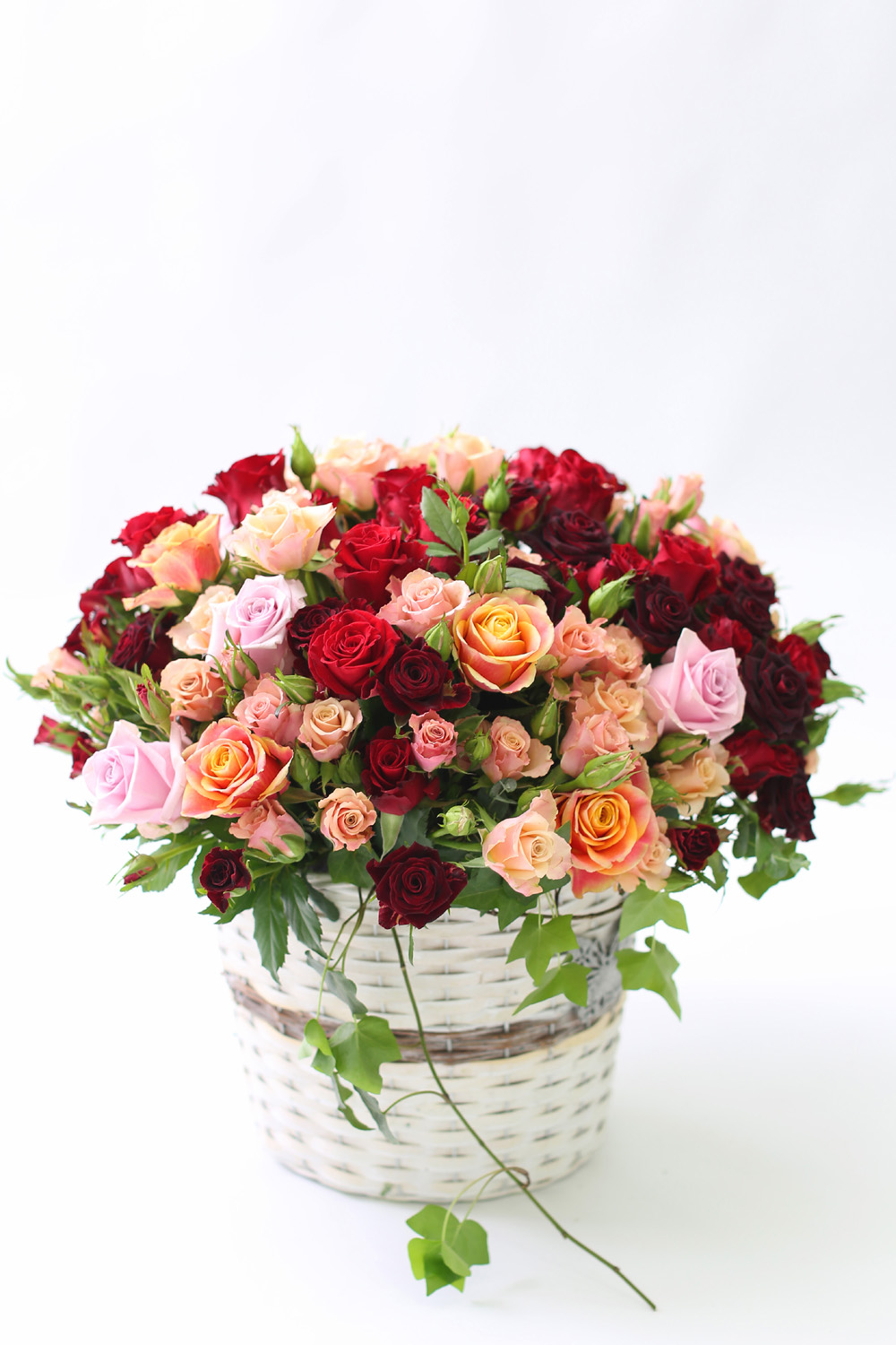 ´«ºÎ½Ãµµ·Ï ¸ÚÁö°í ¾Æ¸§´Ù¿î Àο¬ - Mighty Lak` A Rose (¹Ù±¸´Ï ǰÀý·Î·Î ´Ù¸¥ ¹Ù±¸´Ï·Î ´ëüµË´Ï´Ù) ²ÉÁý ²É¹è´Þ