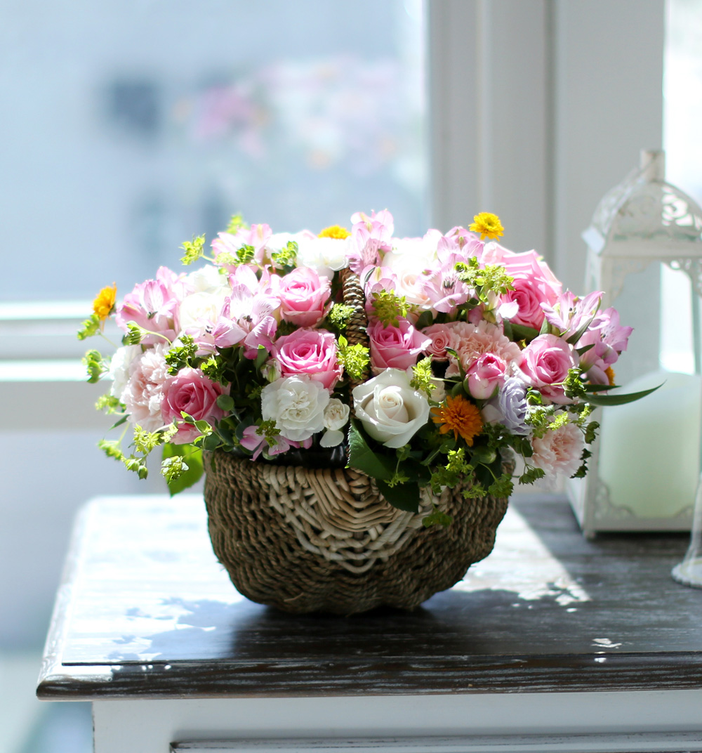 []νõ  Ƹٿ ο - Beautiful World  ɹ