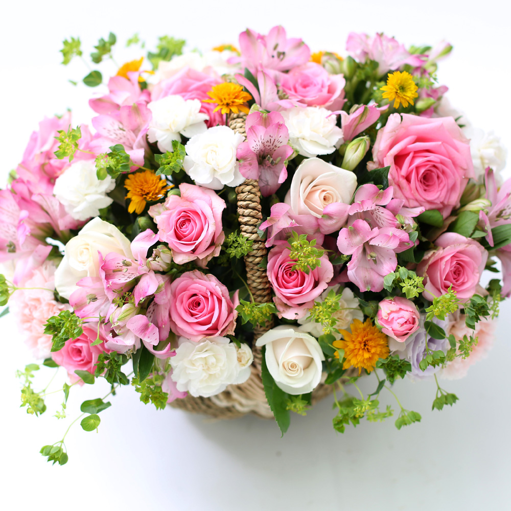 []νõ  Ƹٿ ο - Beautiful World  ɹ