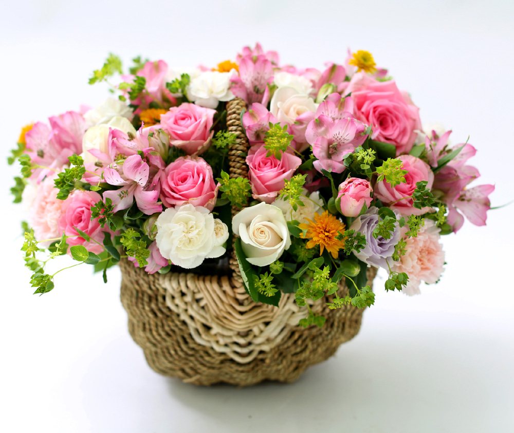 []νõ  Ƹٿ ο - Beautiful World  ɹ