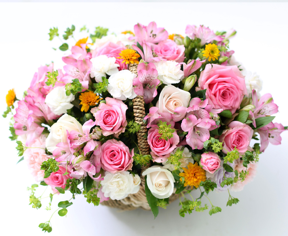 []νõ  Ƹٿ ο - Beautiful World  ɹ