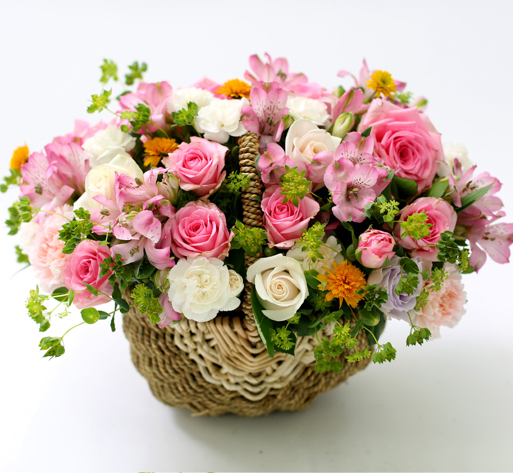 []νõ  Ƹٿ ο - Beautiful World  ɹ