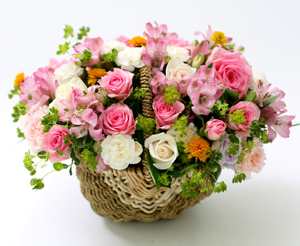 []νõ  Ƹٿ ο - Beautiful World  ɹ