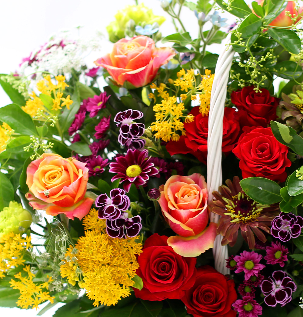 ´«ºÎ½Ãµµ·Ï ¸ÚÁö°í ¾Æ¸§´Ù¿î Àο¬ - Bounce Walk ²ÉÁý ²É¹è´Þ