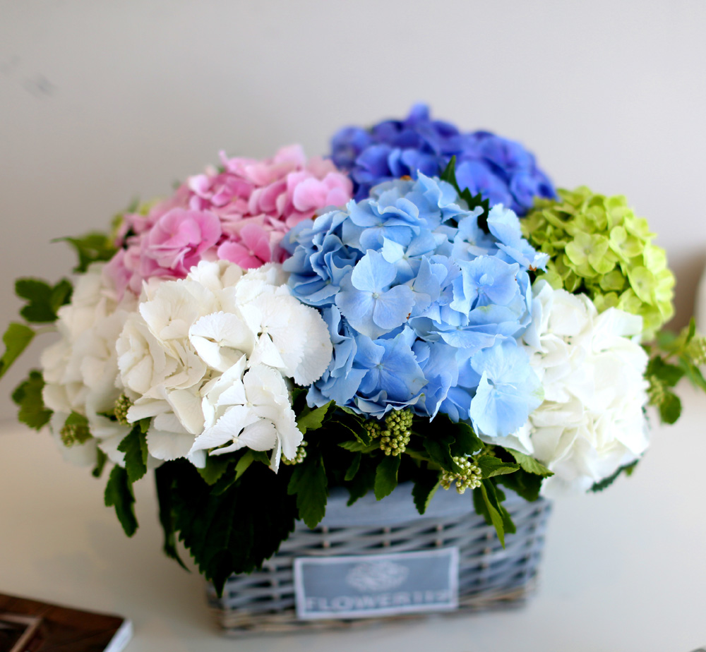 νõ  Ƹٿ ο - Tomorrow Afternoon  ɹ