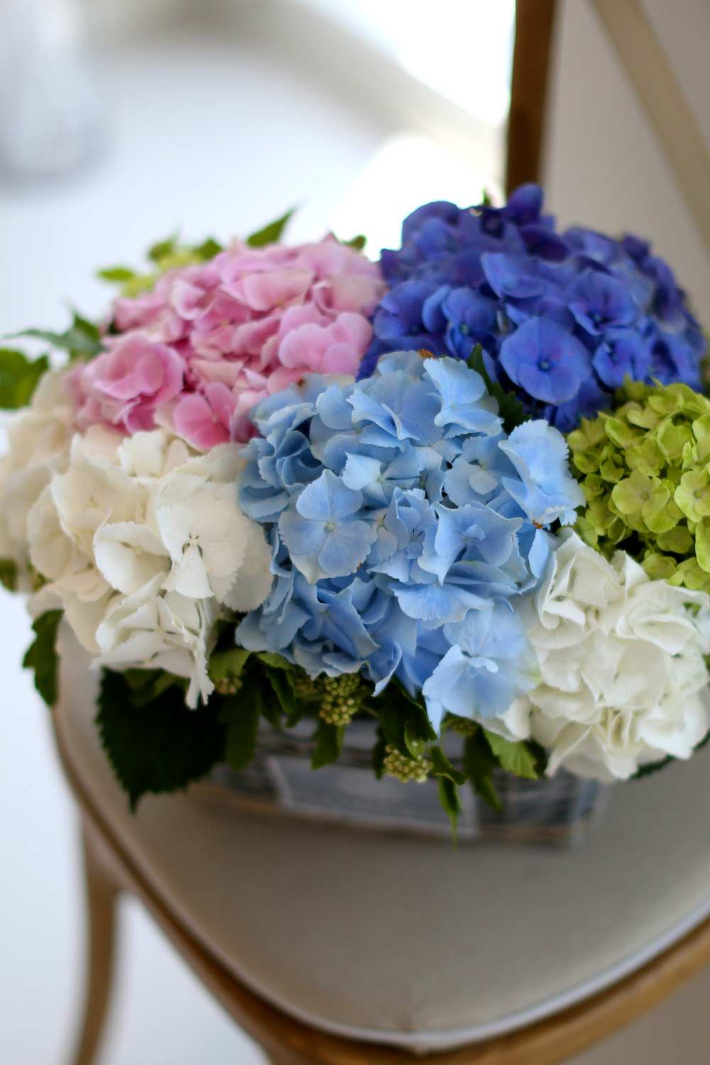 νõ  Ƹٿ ο - Tomorrow Afternoon  ɹ