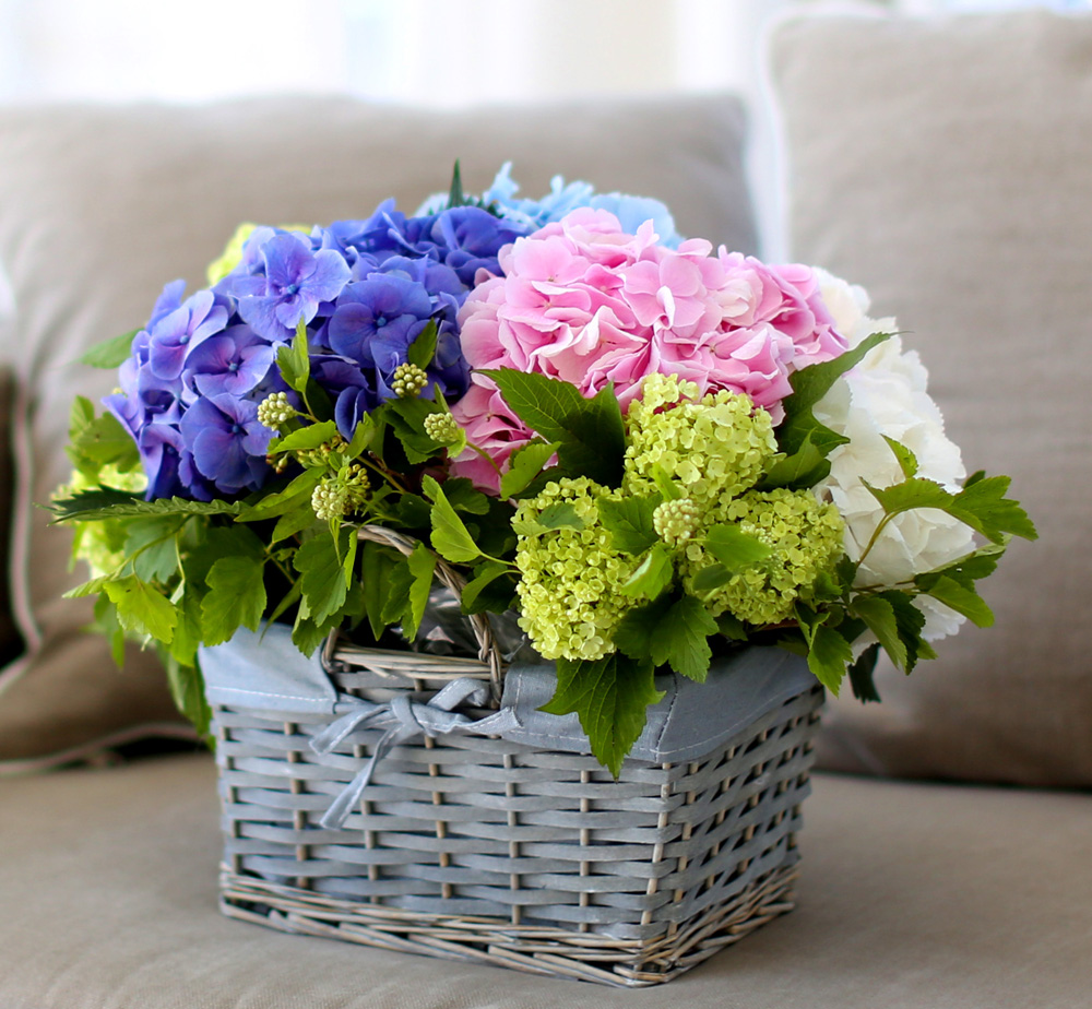 νõ  Ƹٿ ο - Tomorrow Afternoon  ɹ