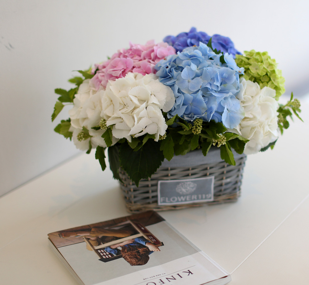 νõ  Ƹٿ ο - Tomorrow Afternoon  ɹ