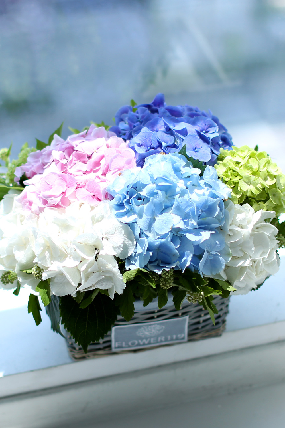 νõ  Ƹٿ ο - Tomorrow Afternoon  ɹ