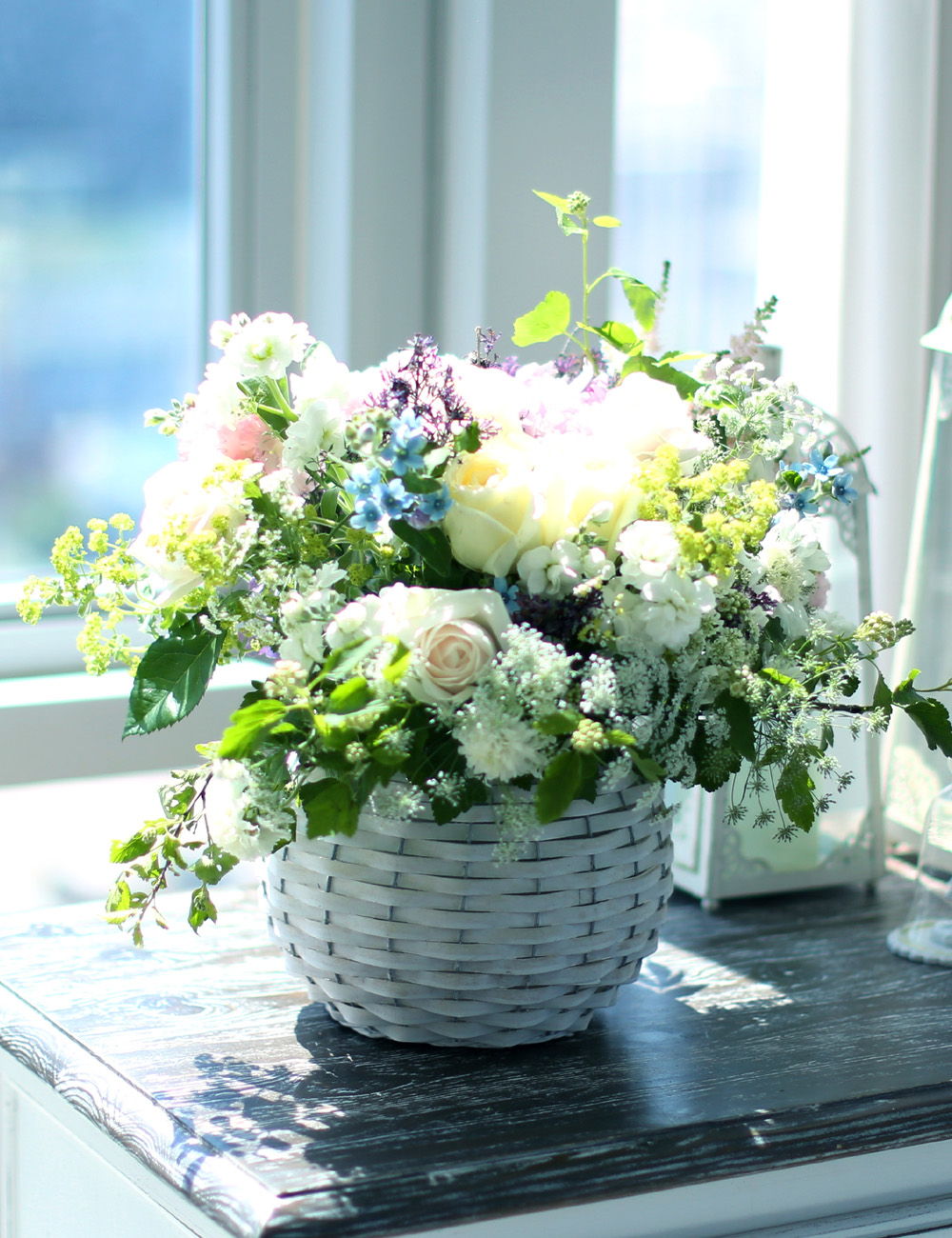 νõ  Ƹٿ ο - Bring Back Spring (ٱϺ)  ɹ