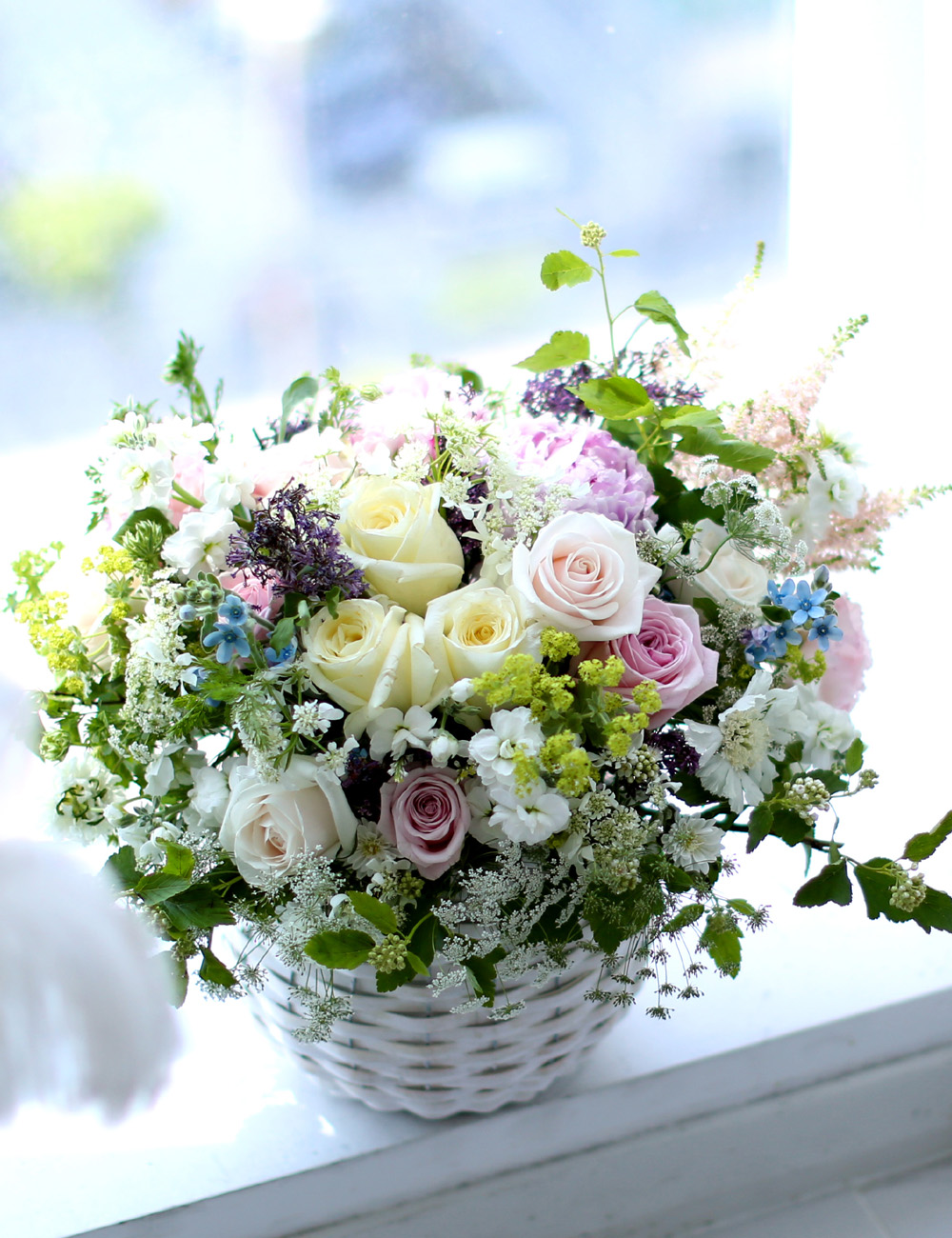 νõ  Ƹٿ ο - Bring Back Spring (ٱϺ)  ɹ