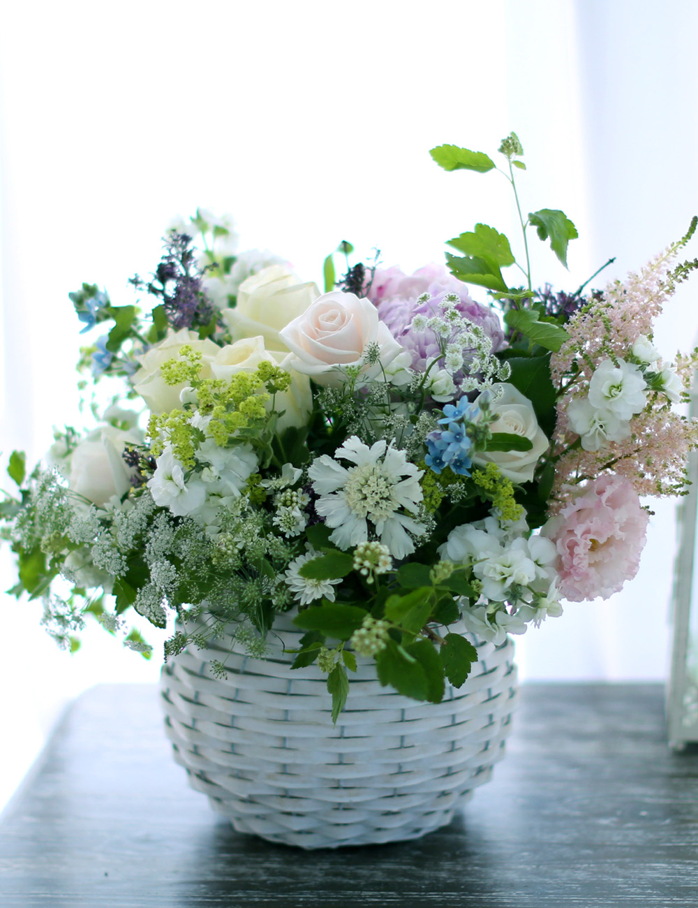 νõ  Ƹٿ ο - Bring Back Spring (ٱϺ)  ɹ