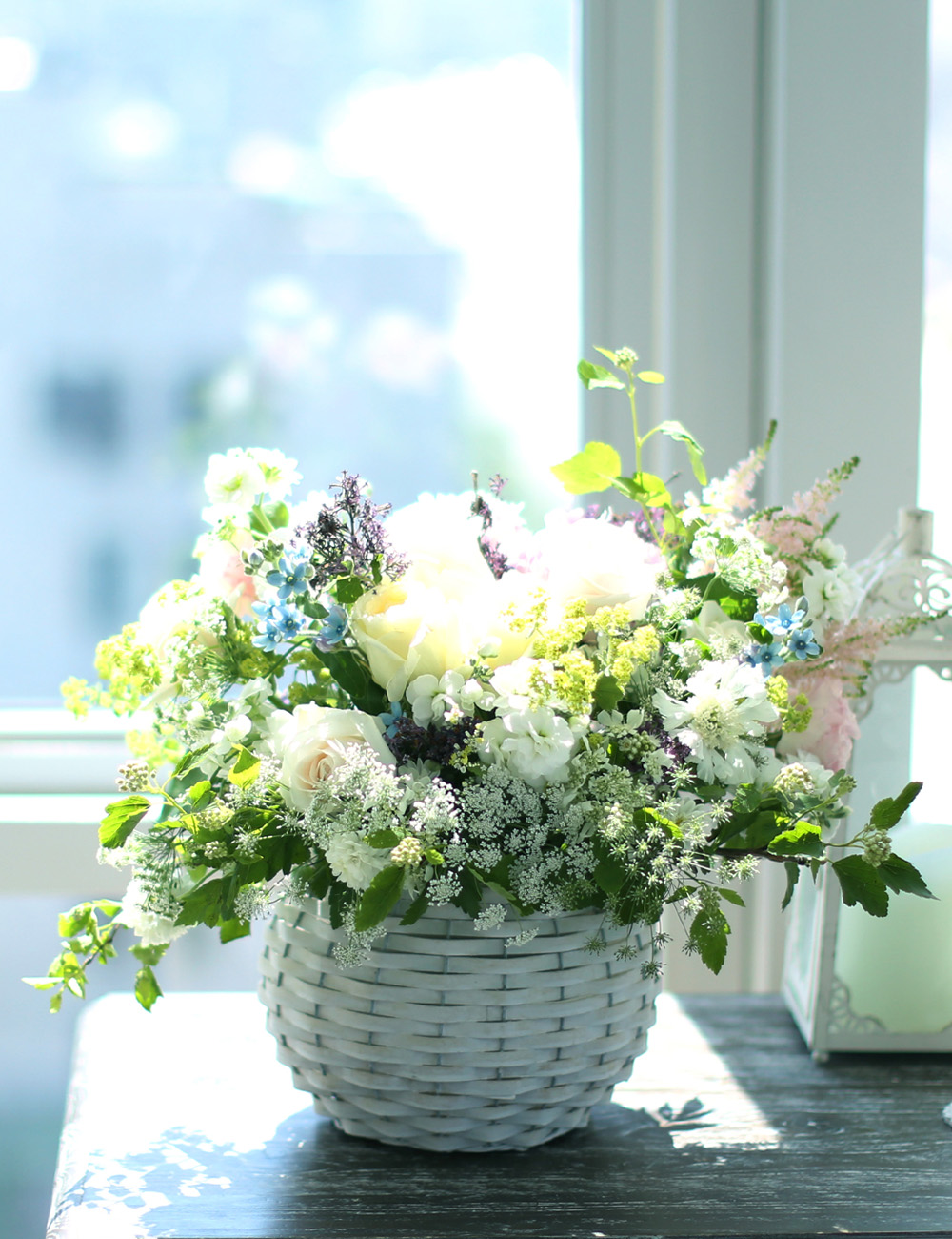 νõ  Ƹٿ ο - Bring Back Spring (ٱϺ)  ɹ