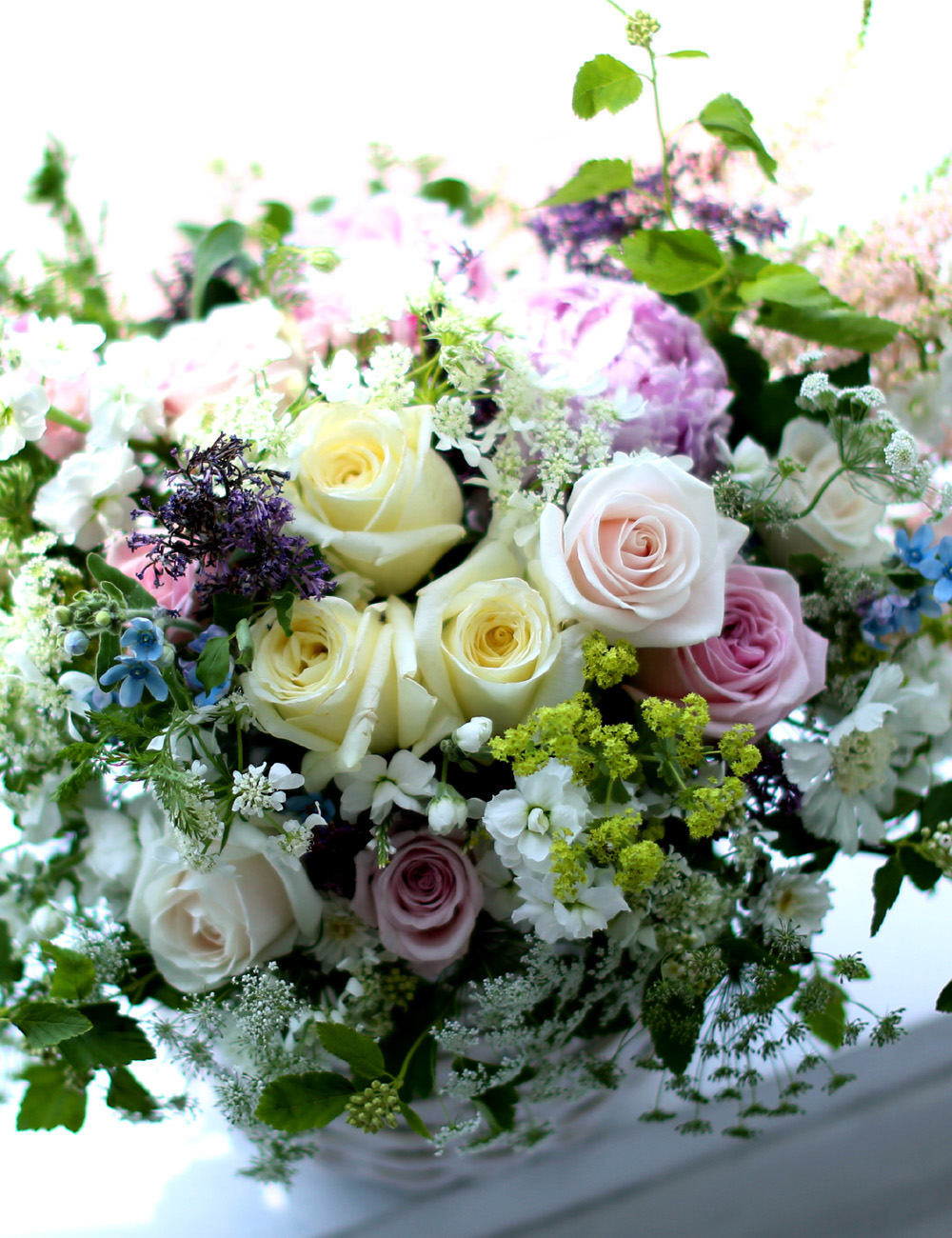 νõ  Ƹٿ ο - Bring Back Spring (ٱϺ)  ɹ