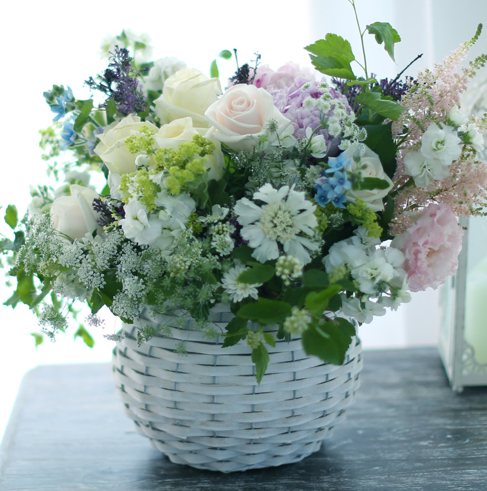 νõ  Ƹٿ ο - Bring Back Spring (ٱϺ)  ɹ