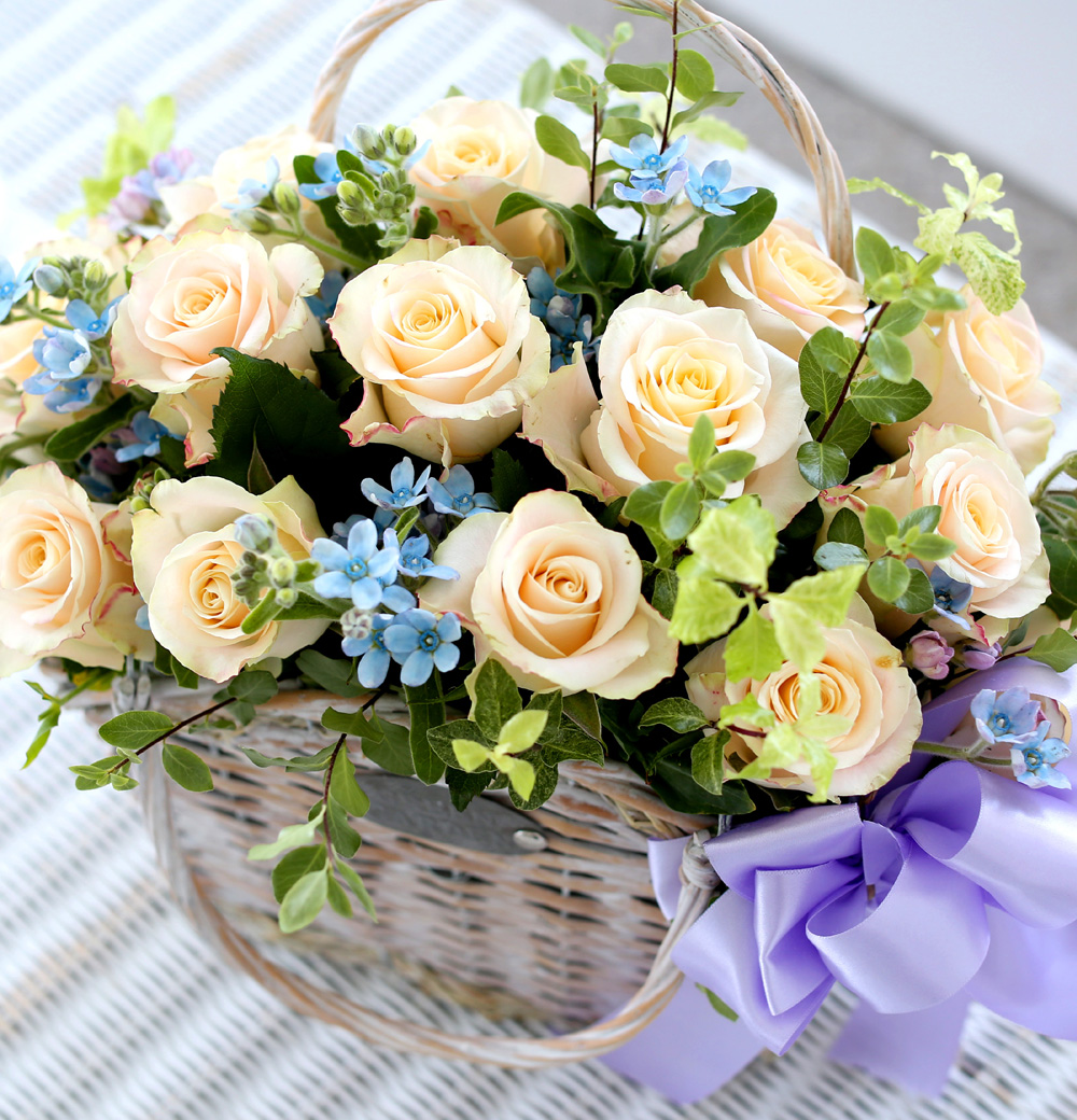   ѹ   - Love, Rosie  ɹ