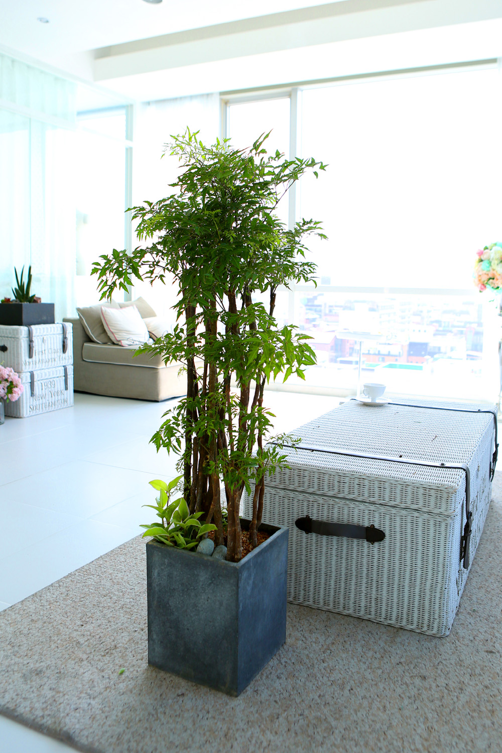   - ǳ ȭ -  ̱׷ Ž   ɹ